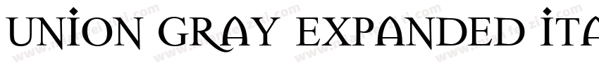 Union Gray Expanded Italic字体转换